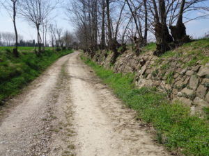 Strada bianca con muro a secco