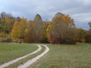 I prati di Planino