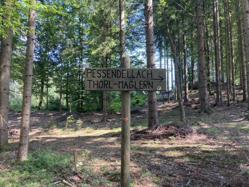 Pista forestale per Thörl–Maglern